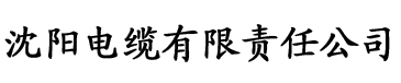 《和顶流营业后我爆红了》作者:周大医生电缆厂logo